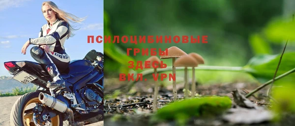 кокс Баксан