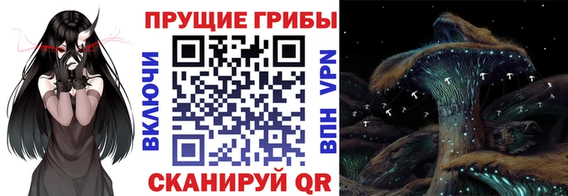 Псилоцибиновые грибы мицелий купить мега как войти Мончегорск